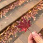 ヒメ日記 2025/02/12 07:00 投稿 しずか ぷるるん小町 京橋店