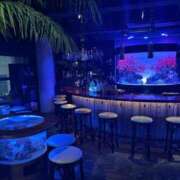 ヒメ日記 2025/02/12 20:09 投稿 しずか ぷるるん小町 京橋店