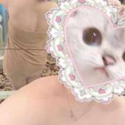 ヒメ日記 2025/02/24 07:21 投稿 しずか ぷるるん小町 京橋店