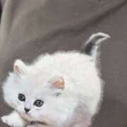 ヒメ日記 2025/02/24 20:20 投稿 しずか ぷるるん小町 京橋店