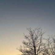 ヒメ日記 2025/03/06 15:01 投稿 しずか ぷるるん小町 京橋店