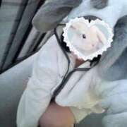 ヒメ日記 2025/03/11 11:16 投稿 しずか ぷるるん小町 京橋店