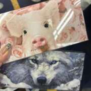 ヒメ日記 2025/03/17 18:05 投稿 しずか ぷるるん小町 京橋店