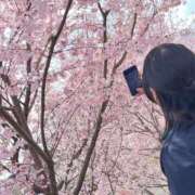 ヒメ日記 2025/03/29 16:01 投稿 しずか ぷるるん小町 京橋店