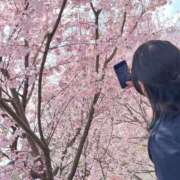 ヒメ日記 2025/03/29 16:16 投稿 しずか ぷるるん小町 京橋店