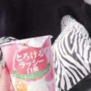 ヒメ日記 2025/04/01 10:14 投稿 しずか ぷるるん小町 京橋店