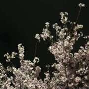 ヒメ日記 2025/04/01 18:13 投稿 しずか ぷるるん小町 京橋店