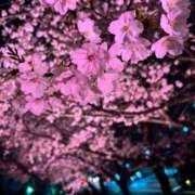 ヒメ日記 2025/04/06 20:00 投稿 しずか ぷるるん小町 京橋店