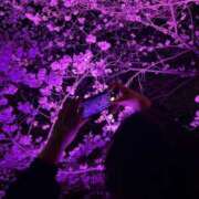 ヒメ日記 2025/04/07 10:56 投稿 しずか ぷるるん小町 京橋店