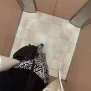 ヒメ日記 2025/04/12 19:15 投稿 しずか ぷるるん小町 京橋店