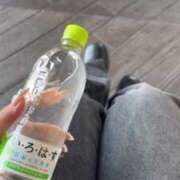 ヒメ日記 2025/04/14 14:31 投稿 しずか ぷるるん小町 京橋店