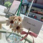 ヒメ日記 2025/04/14 18:18 投稿 しずか ぷるるん小町 京橋店