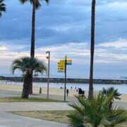 ヒメ日記 2025/05/01 17:18 投稿 しずか ぷるるん小町 京橋店