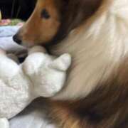 ヒメ日記 2025/05/01 18:18 投稿 しずか ぷるるん小町 京橋店