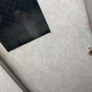 ヒメ日記 2025/05/05 14:08 投稿 しずか ぷるるん小町 京橋店