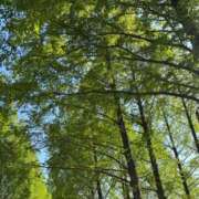 ヒメ日記 2025/05/07 22:08 投稿 しずか ぷるるん小町 京橋店