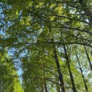 ヒメ日記 2025/05/07 22:26 投稿 しずか ぷるるん小町 京橋店