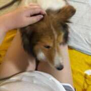 ヒメ日記 2025/10/01 09:11 投稿 しずか ぷるるん小町 京橋店