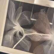 ヒメ日記 2025/10/04 10:00 投稿 しずか ぷるるん小町 京橋店