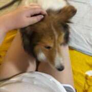 ヒメ日記 2025/10/05 20:00 投稿 しずか ぷるるん小町 京橋店