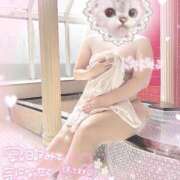 ヒメ日記 2025/11/11 18:03 投稿 しずか ぷるるん小町 京橋店