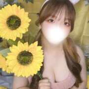 ヒメ日記 2025/08/12 22:29 投稿 いと 恋するバニー