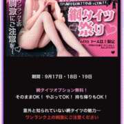 ヒメ日記 2025/09/14 16:15 投稿 いと 恋するバニー