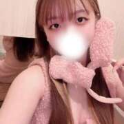 ヒメ日記 2025/11/15 14:54 投稿 いと 恋するバニー