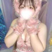 ヒメ日記 2026/02/11 19:01 投稿 いと 恋するバニー