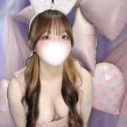 ヒメ日記 2026/02/12 23:30 投稿 いと 恋するバニー