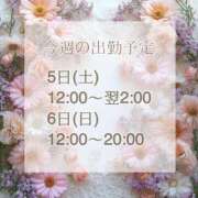 ヒメ日記 2025/03/31 08:47 投稿 【新人】るう 神奈川小田原ちゃんこ