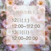 ヒメ日記 2025/04/07 08:37 投稿 【新人】るう 神奈川小田原ちゃんこ