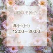 ヒメ日記 2025/04/14 08:47 投稿 【新人】るう 神奈川小田原ちゃんこ