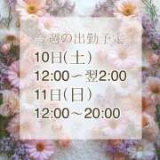 ヒメ日記 2025/05/07 07:07 投稿 【新人】るう 神奈川小田原ちゃんこ