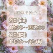 ヒメ日記 2025/07/28 07:37 投稿 【新人】るう 神奈川小田原ちゃんこ