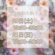 ヒメ日記 2025/09/17 07:37 投稿 【新人】るう 神奈川小田原ちゃんこ