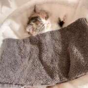 ヒメ日記 2025/11/07 19:07 投稿 【新人】るう 神奈川小田原ちゃんこ