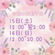 ヒメ日記 2025/11/10 07:31 投稿 【新人】るう 神奈川小田原ちゃんこ