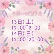 ヒメ日記 2025/12/08 07:46 投稿 【新人】るう 神奈川小田原ちゃんこ