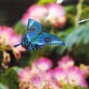 はすみ お誘い💕 熟女の風俗最終章 高崎店