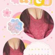 ヒメ日記 2025/03/08 04:38 投稿 こうき 熟女の風俗最終章 本厚木店