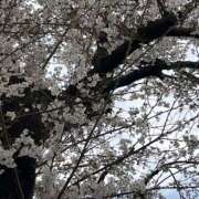 ヒメ日記 2025/03/29 00:31 投稿 こうき 熟女の風俗最終章 本厚木店