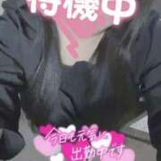 ヒメ日記 2025/05/31 20:21 投稿 こうき 熟女の風俗最終章 本厚木店