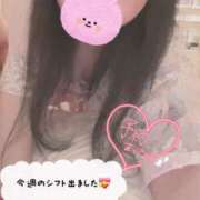 ヒメ日記 2025/07/14 16:26 投稿 こうき 熟女の風俗最終章 本厚木店