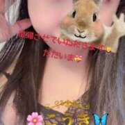 ヒメ日記 2025/11/23 05:21 投稿 こうき 熟女の風俗最終章 本厚木店