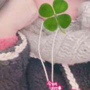 ヒメ日記 2026/01/30 20:12 投稿 こうき 熟女の風俗最終章 本厚木店