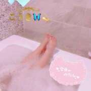 ヒメ日記 2026/02/12 07:11 投稿 こうき 熟女の風俗最終章 本厚木店