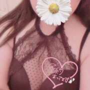 ヒメ日記 2026/02/15 17:31 投稿 こうき 熟女の風俗最終章 本厚木店