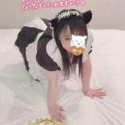 ヒメ日記 2026/02/22 14:32 投稿 こうき 熟女の風俗最終章 本厚木店