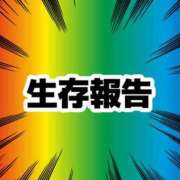 ユキ ノシ バニーコレクション千葉栄町店